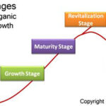 Product lifecycle stages curve diagram