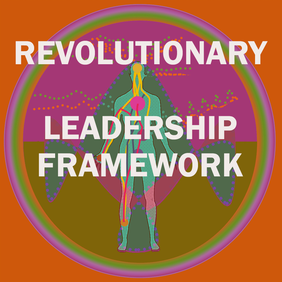 Demosophy I2 Framework