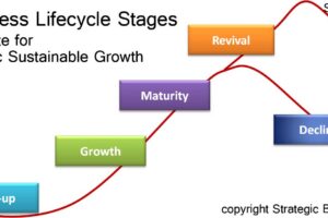 businesslifecycleBIG